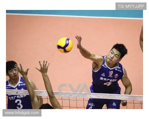 南京排球队逆袭之路欧锦赛背后的奋斗与荣耀