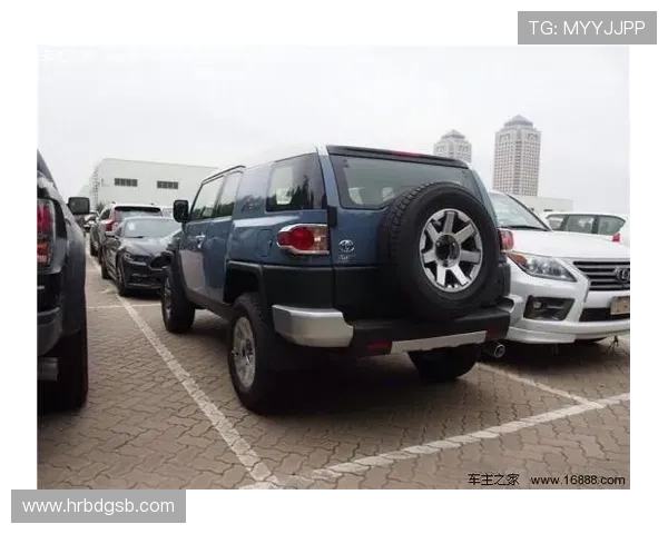 成都篮球队在洲际杯积分榜上以62分稳居第一名展现强劲实力