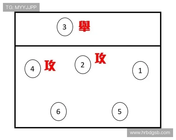 杭州排球队反击战术解析与未来发展展望