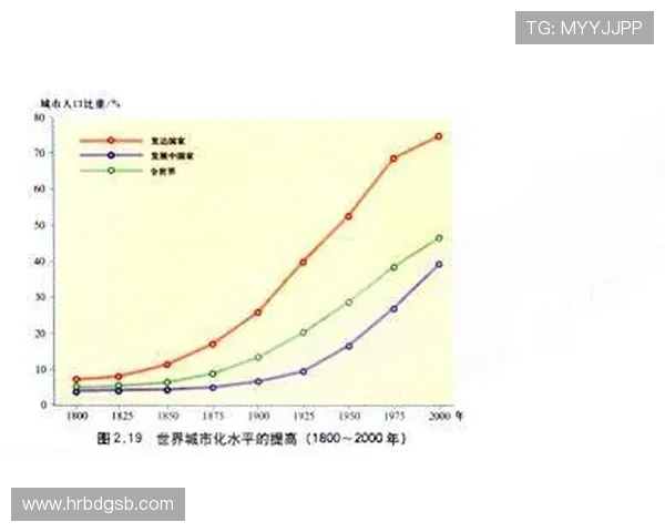 武汉羽毛球队与西安羽毛球队赛后实力分析与对比探讨